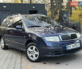 Шкода Фабия 2004 в Тернополе на Automoto.ua Синий Шкода Фабия, объемом двигателя 1.39 л и пробегом 200 тыс. км за 3650 $, фото 27 на Automoto.ua