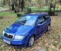 Шкода Фабия 2004 в Ивано-Франковске на Automoto.ua Синий Шкода Фабия, объемом двигателя 1.39 л и пробегом 237 тыс. км за 2700 $, фото 8 на Automoto.ua