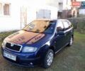 Синий Шкода Фабия, объемом двигателя 1.2 л и пробегом 347 тыс. км за 2600 $, фото 1 на Automoto.ua