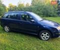 Синий Шкода Фабия, объемом двигателя 1.2 л и пробегом 180 тыс. км за 3800 $, фото 6 на Automoto.ua
