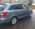 Синий Шкода Фабия, объемом двигателя 1.4 л и пробегом 200 тыс. км за 5900 $, фото 5 на Automoto.ua