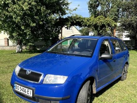 Шкода Фабія 2001 у Збараже на Automoto.ua Синій Шкода Фабія, об'ємом двигуна 1.4 л та пробігом 255 тис. км за 3700 $, фото 1 на Automoto.ua