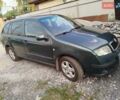 Зеленый Шкода Фабия, объемом двигателя 1.9 л и пробегом 390 тыс. км за 3909 $, фото 1 на Automoto.ua