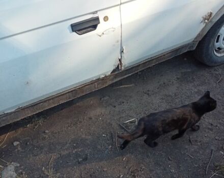 Білий Шкода Фаворит, об'ємом двигуна 1.3 л та пробігом 2 тис. км за 381 $, фото 2 на Automoto.ua