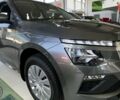 купить новое авто Шкода KAMIQ 2025 года от официального дилера Автоцентр AUTO.RIA Шкода фото