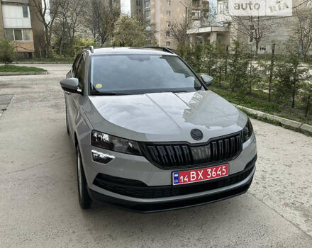 Шкода Karoq, объемом двигателя 1.6 л и пробегом 245 тыс. км за 19200 $, фото 119 на Automoto.ua