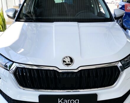купить новое авто Шкода Karoq 2023 года от официального дилера Автоцентр AUTO.RIA Шкода фото