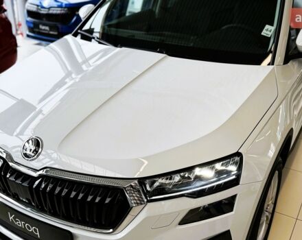 купить новое авто Шкода Karoq 2025 года от официального дилера Автоцентр AUTO.RIA Шкода фото
