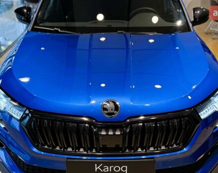 купить новое авто Шкода Karoq 2025 года от официального дилера Автоцентр AUTO.RIA Шкода фото