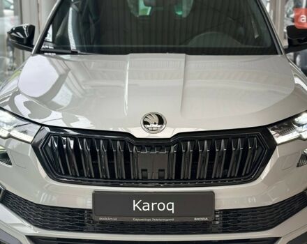 купить новое авто Шкода Karoq 2025 года от официального дилера Євромоторс Skoda Шкода фото