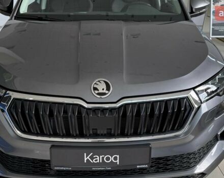 Шкода Karoq, об'ємом двигуна 1.4 л та пробігом 0 тис. км за 30970 $, фото 19 на Automoto.ua