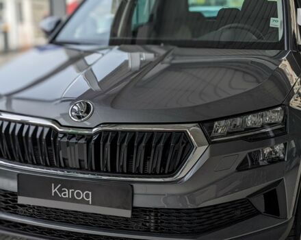 купить новое авто Шкода Karoq 2024 года от официального дилера Автоцентр AUTO.RIA Шкода фото