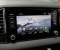 Сірий Шкода Karoq, об'ємом двигуна 0 л та пробігом 148 тис. км за 29990 $, фото 49 на Automoto.ua