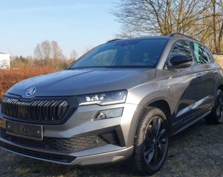 Серый Шкода Karoq, объемом двигателя 2 л и пробегом 47 тыс. км за 12000 $, фото 1 на Automoto.ua