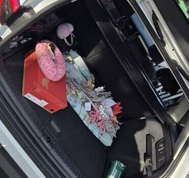 Белый Шкода Kodiaq, объемом двигателя 2 л и пробегом 200 тыс. км за 32000 $, фото 56 на Automoto.ua