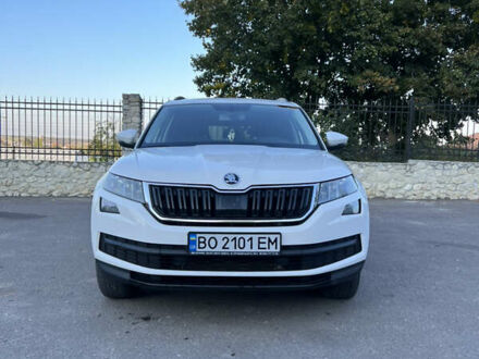 Шкода Kodiaq 2018 у Збараже на Automoto.ua Білий Шкода Kodiaq, об'ємом двигуна 1.97 л та пробігом 160 тис. км за 21000 $, фото 1 на Automoto.ua