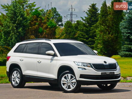 Шкода Kodiaq 2019 в Днепре (Днепропетровске) на Automoto.ua Белый Шкода Kodiaq, объемом двигателя 2 л и пробегом 105 тыс. км за 27500 $, фото 1 на Automoto.ua