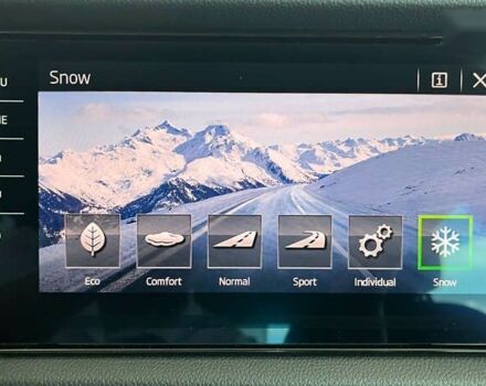 Шкода Kodiaq, объемом двигателя 2 л и пробегом 169 тыс. км за 29450 $, фото 27 на Automoto.ua