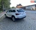 Шкода Kodiaq, объемом двигателя 1.97 л и пробегом 304 тыс. км за 25000 $, фото 1 на Automoto.ua