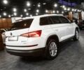 Шкода Kodiaq, объемом двигателя 2 л и пробегом 170 тыс. км за 21500 $, фото 20 на Automoto.ua