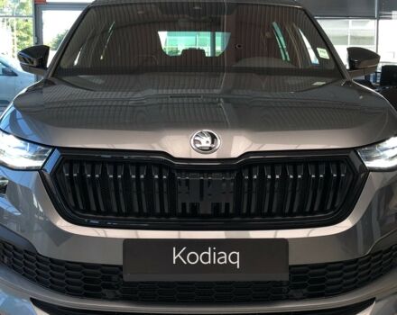 купить новое авто Шкода Kodiaq 2024 года от официального дилера Автоцентр AUTO.RIA Шкода фото