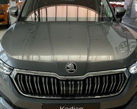 купить новое авто Шкода Kodiaq 2024 года от официального дилера Автоцентр AUTO.RIA Шкода фото
