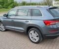 Серый Шкода Kodiaq, объемом двигателя 2 л и пробегом 163 тыс. км за 27990 $, фото 4 на Automoto.ua