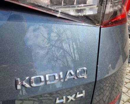 Сірий Шкода Kodiaq, об'ємом двигуна 2 л та пробігом 189 тис. км за 26100 $, фото 49 на Automoto.ua