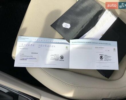 Шкода Kodiaq 2020 в Житомире на Automoto.ua Серый Шкода Kodiaq, объемом двигателя 1.97 л и пробегом 225 тыс. км за 31900 $, фото 66 на Automoto.ua