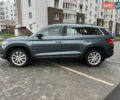 Шкода Kodiaq 2020 в Виннице на Automoto.ua Серый Шкода Kodiaq, объемом двигателя 1.98 л и пробегом 314 тыс. км за 19999 $, фото 20 на Automoto.ua