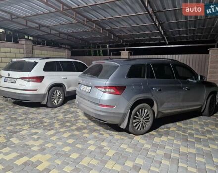 Шкода Kodiaq 2020 в Кривом Роге на Automoto.ua Серый Шкода Kodiaq, объемом двигателя 0 л и пробегом 66 тыс. км за 35000 $, фото 46 на Automoto.ua