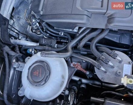 Шкода Kodiaq 2020 в Кривом Роге на Automoto.ua Серый Шкода Kodiaq, объемом двигателя 0 л и пробегом 66 тыс. км за 35000 $, фото 43 на Automoto.ua