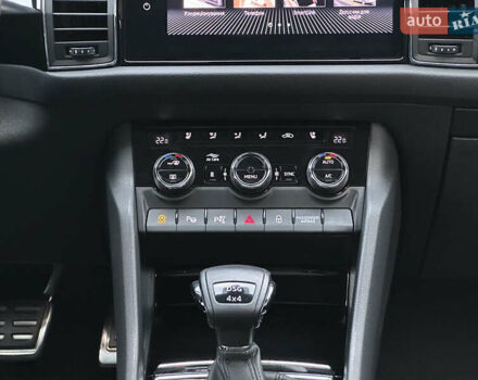 Серый Шкода Kodiaq, объемом двигателя 2 л и пробегом 181 тыс. км за 35399 $, фото 107 на Automoto.ua