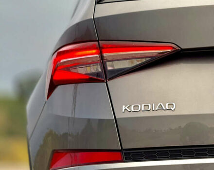 Сірий Шкода Kodiaq, об'ємом двигуна 2 л та пробігом 220 тис. км за 31300 $, фото 47 на Automoto.ua