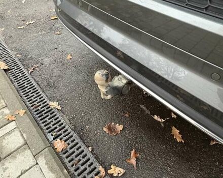 Серый Шкода Kodiaq, объемом двигателя 1.98 л и пробегом 151 тыс. км за 29300 $, фото 9 на Automoto.ua