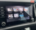 Серый Шкода Kodiaq, объемом двигателя 1.97 л и пробегом 184 тыс. км за 34999 $, фото 48 на Automoto.ua