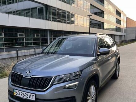 Серый Шкода Kodiaq, объемом двигателя 1.97 л и пробегом 242 тыс. км за 23500 $, фото 1 на Automoto.ua