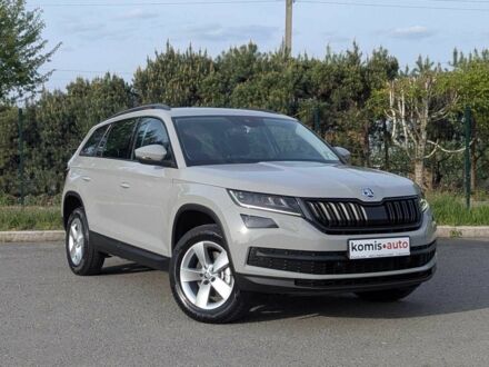 Сірий Шкода Kodiaq, об'ємом двигуна 2 л та пробігом 220 тис. км за 24999 $, фото 1 на Automoto.ua