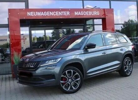 Серый Шкода Kodiaq, объемом двигателя 2 л и пробегом 70 тыс. км за 11000 $, фото 1 на Automoto.ua