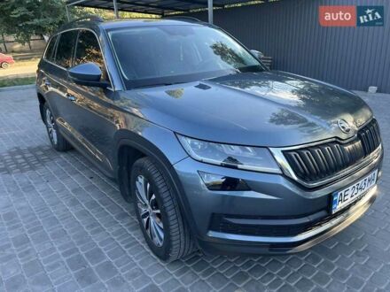 Шкода Kodiaq 2019 в Кривом Роге на Automoto.ua Серый Шкода Kodiaq, объемом двигателя 1.97 л и пробегом 96 тыс. км за 28800 $, фото 1 на Automoto.ua