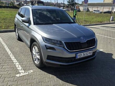 Шкода Kodiaq 2019 в Виннице на Automoto.ua Серый Шкода Kodiaq, объемом двигателя 1.97 л и пробегом 348 тыс. км за 25500 $, фото 1 на Automoto.ua