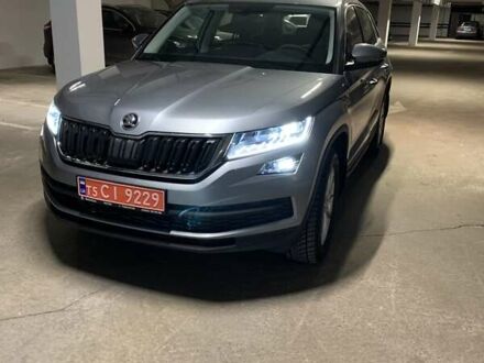 Шкода Kodiaq 2021 у Чернігові на Automoto.ua Сірий Шкода Kodiaq, об'ємом двигуна 1.98 л та пробігом 58 тис. км за 32599 $, фото 1 на Automoto.ua