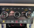 Синий Шкода Kodiaq, объемом двигателя 2 л и пробегом 173 тыс. км за 29950 $, фото 15 на Automoto.ua
