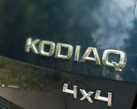 Шкода Kodiaq 2019 в Киеве на Automoto.ua Синий Шкода Kodiaq, объемом двигателя 1.97 л и пробегом 240 тыс. км за 28000 $, фото 31 на Automoto.ua