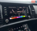 Синій Шкода Kodiaq, об'ємом двигуна 1.97 л та пробігом 225 тис. км за 28999 $, фото 32 на Automoto.ua