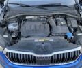 Синий Шкода Kodiaq, объемом двигателя 2 л и пробегом 174 тыс. км за 36900 $, фото 20 на Automoto.ua