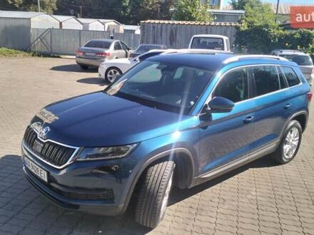 Шкода Kodiaq 2019 в Львове на Automoto.ua Синий Шкода Kodiaq, объемом двигателя 1.97 л и пробегом 118 тыс. км за 27400 $, фото 1 на Automoto.ua