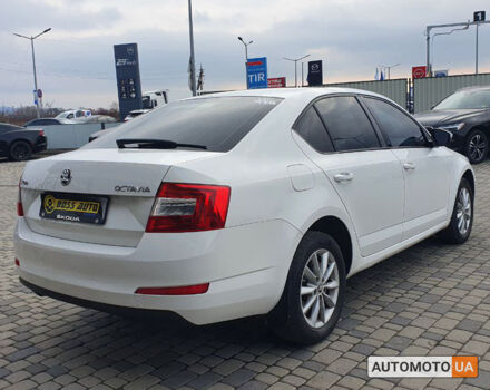 Белый Шкода Octavia A7, объемом двигателя 1.6 л и пробегом 216 тыс. км за 11700 $, фото 6 на Automoto.ua