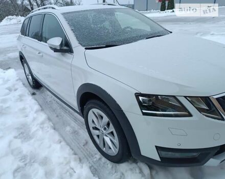Шкода Октавия Скаут, объемом двигателя 1.97 л и пробегом 173 тыс. км за 21700 $, фото 65 на Automoto.ua