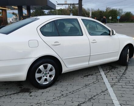 Белый Шкода Октавия, объемом двигателя 1.4 л и пробегом 230 тыс. км за 6500 $, фото 8 на Automoto.ua